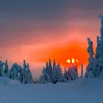 Authentic Family Experience At Vakantiehuis Sjusjoen