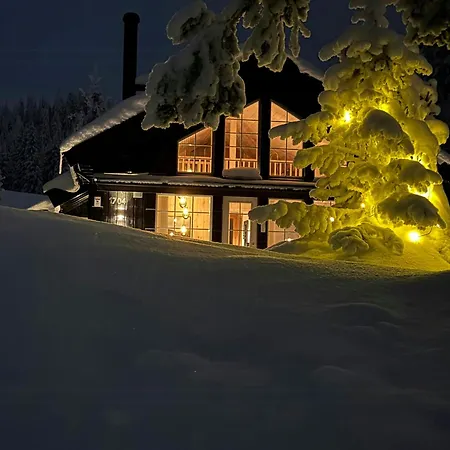 Authentic Family Experience At Tatil Evi Sjusjoen