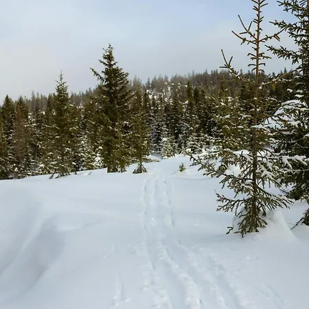 Authentic Family Experience At 度假居 Sjusjoen