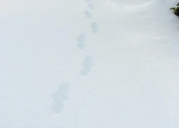 Holiday home Authentic Family Experience At