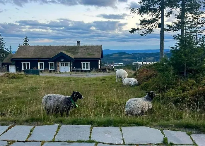 Authentic Family Experience At