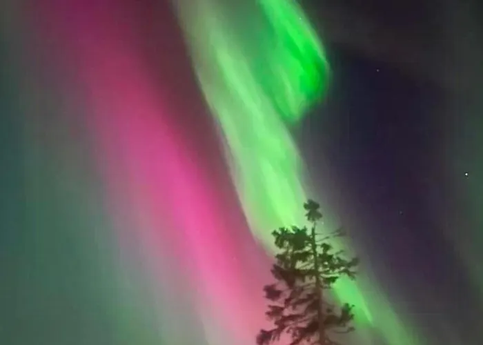 Authentic Family Experience At Holiday home Sjusjoen