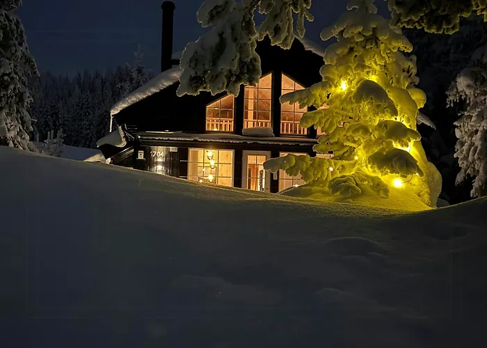 Authentic Family Experience At Tatil Evi Sjusjoen