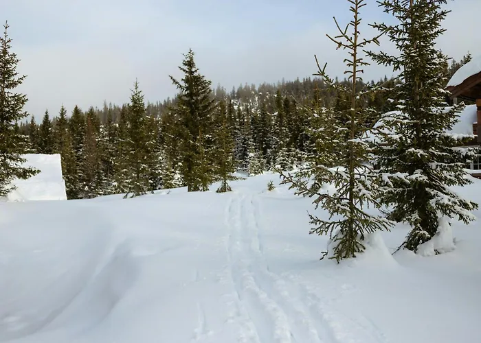 Authentic Family Experience At Tatil Evi Sjusjoen